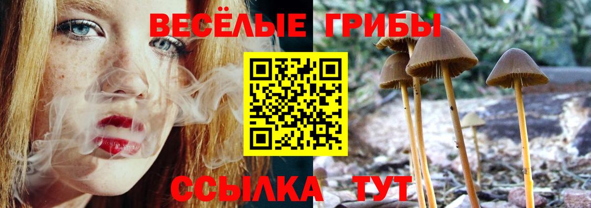 Галлюциногенные грибы GOLDEN TEACHER Каспийск